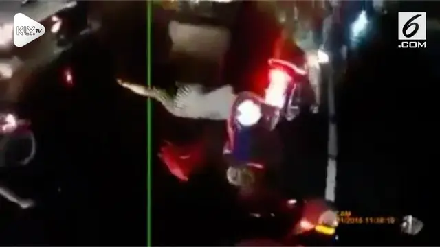 Seorang wanita jatuh dari motornya akibat memakai jas hujan model daster yang terlalu menjuntai hingga menyangkut di rantai.