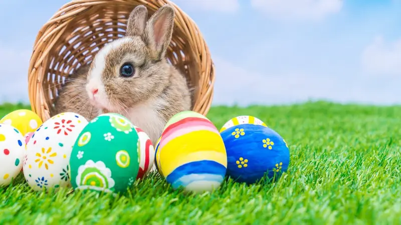 Asal Usul Dibalik Telur dan Kelinci yang Identik dengan Hari Raya Paskah