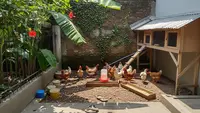 8 Jenis Ayam Kampung dan Ayam Lokal yang Rajin Bertelur, Cocok untuk Ternak Rumahan Modal Kecil