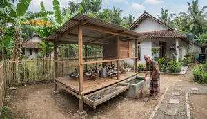 7 Model Kandang Entok yang Mudah Dibersihkan, Anti Bau dan Tidak Ganggu Tetangga