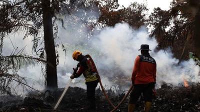 Asap Kebakaran Hutan Kepung Pontianak Diprediksi hingga September