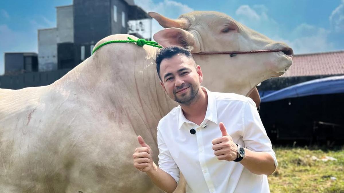 6 Artis Berbagi Hewan Kurban Idul Adha 2025: Raffi Ahmad Bahas Kesetiaan, Dewi Perssik Ikut Motong Daging