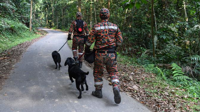 Tim penyelamat mengerahkan anjing pelacak saat mencari gadis disabilitas asal Irlandia Nora Anne Quoirin yang hilang dari sebuah resor hutan hujan di Seremban, Malaysia, Rabu (7/8/2019). Nora diketahui merupakan penyandang disabilitas yang kemampuannya tidak seperti anak seusianya. (Mohd Rasfan/AFP)