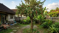 7 Pohon Buah yang Paling Menantang Jika Ditanam di Halaman, Strategi Perawatan Dibutuhkan