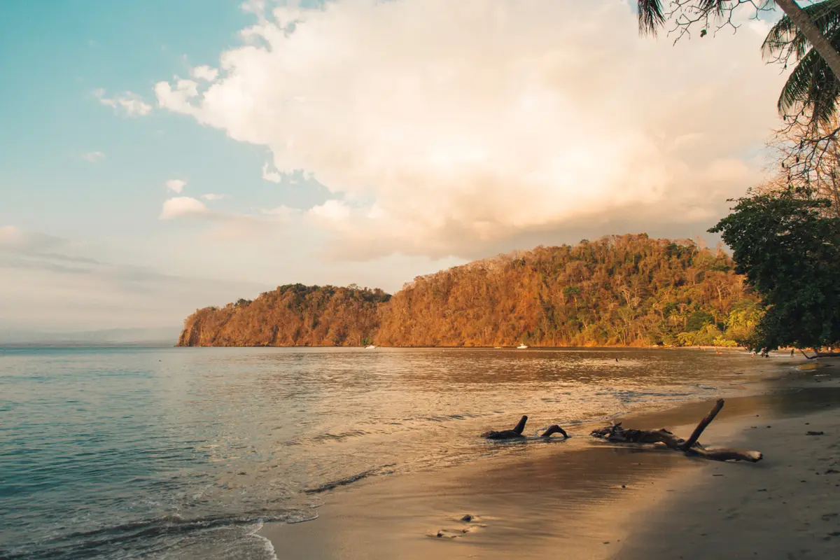 Ilustrasi Pantai
