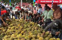 Dispar Maluku Dorong Festival Durian Hutumuri Masuk Kalender Event Nasional