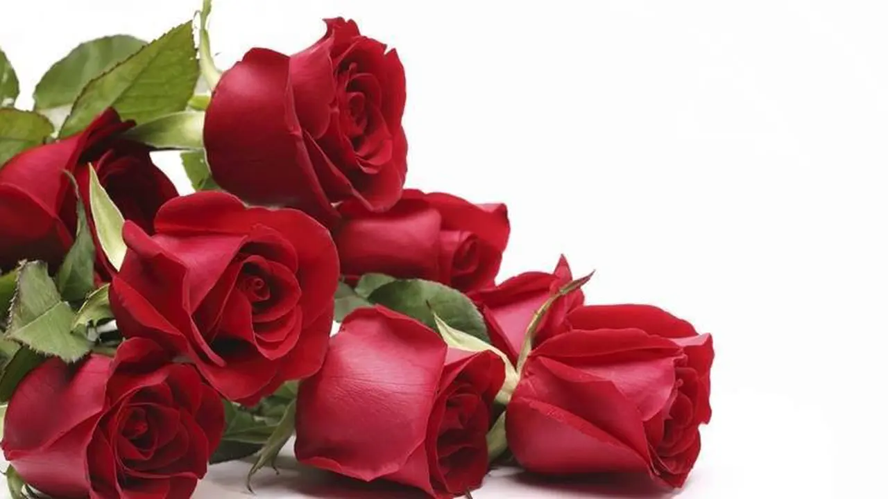 Valentine