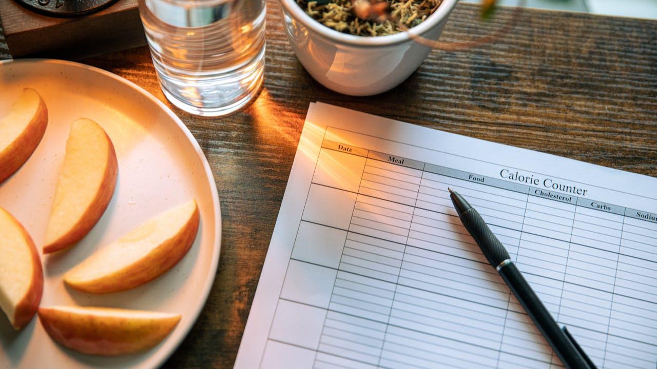 Ilustrasi Food Diary