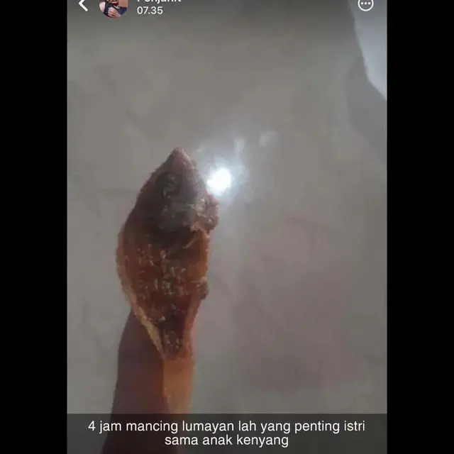 6 Potret Ikan Nyeleneh Setelah Digoreng,
