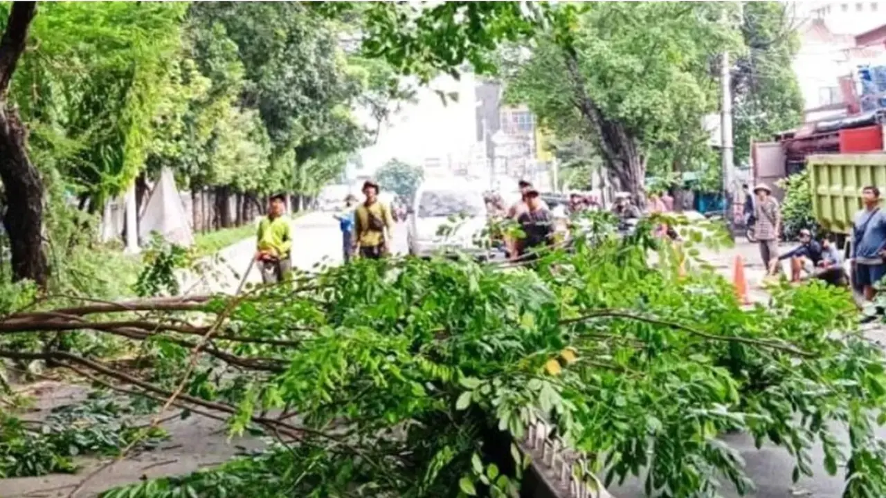 Pemangkasan pohon di wilayah Jakarta Barat.