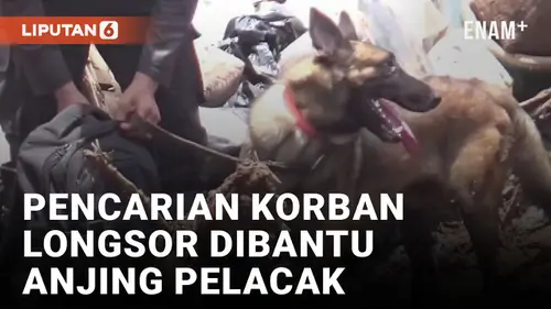 VIDEO: Anjing Pelacak Diterjunkan Untuk Cari Korban Longsor Bandung Barat