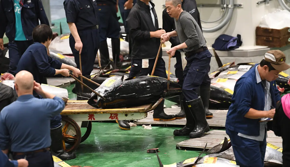 Pembeli, pekerja dan juru lelang menghadiri lelang tuna pada hari pertama pembukaan pasar ikan Toyosu di Tokyo, Kamis (11/9). Pasar ikan Toyosu menggantikan pasar ikan legendaris yang sudah mendunia, Pasar Tsukiji. (Toshifumi KITAMURA/AFP)