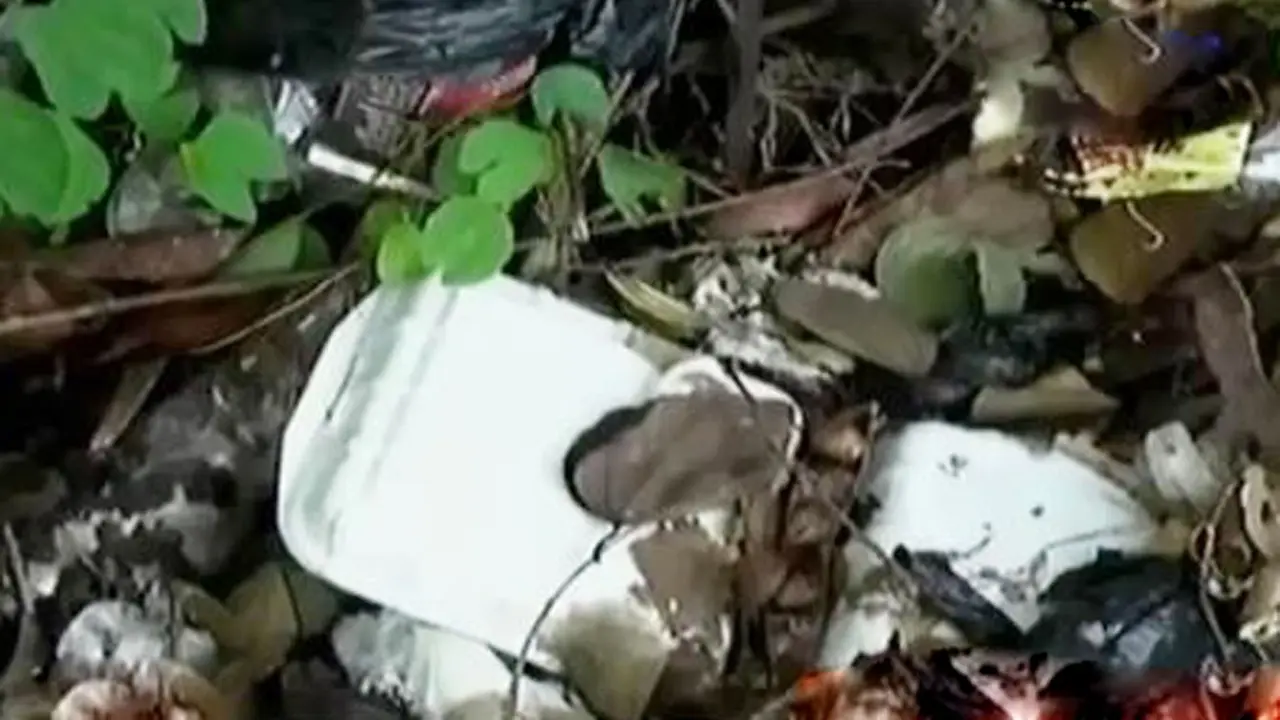 Segmen 3: Pelarangan Styrofoam hingga Hallowen Terakhir Obama 