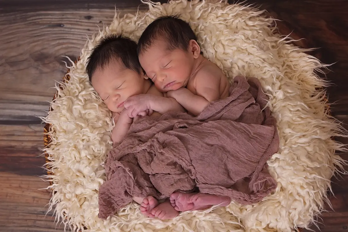 Ilustrasi bayi kembar (pixabay)