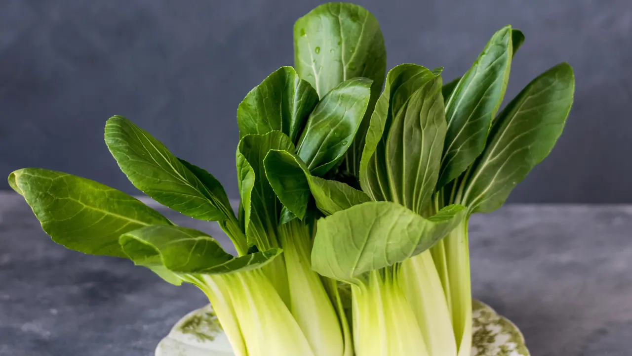 resep sayur pakcoy