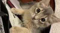 Doc: Reddit