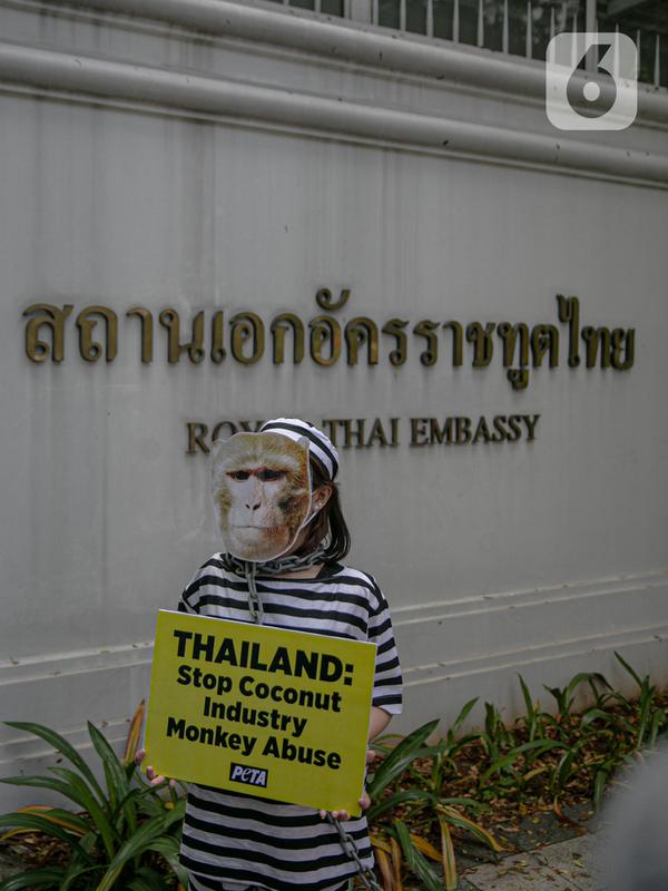 Sejumlah orang yang tergabung dalam PETA menggelar aksi di depan Kedutaan Besar Thailand di Jakarta, Selasa (8/12/2020). Mereka meminta dubes Thailand untuk Indonesia mengakhiri penggunaan tenaga kerja monyet di industri kelapa Thailand oleh perusahaan seperti Chaokoh. (Liputan6.com/Faizal Fanani)