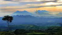 Gunung Halimun termasuk dalam wilayah Taman Nasional Gunung Halimun-Salak (TNGHS). (Dok: Instagram @ramzmilano)