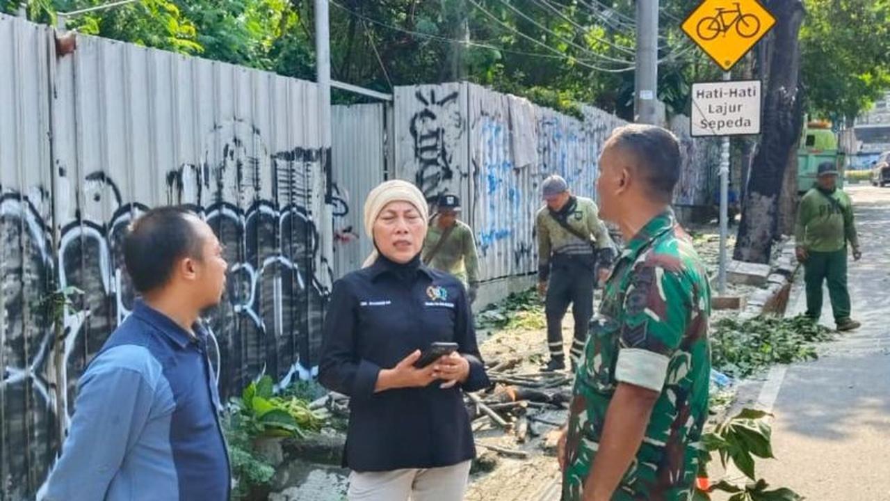 Tragis, 1 Tewas Tertimpa Pohon Tumbang Jakarta: Legislator Desak Distamhut DKI Pastikan Kesehatan Pohon