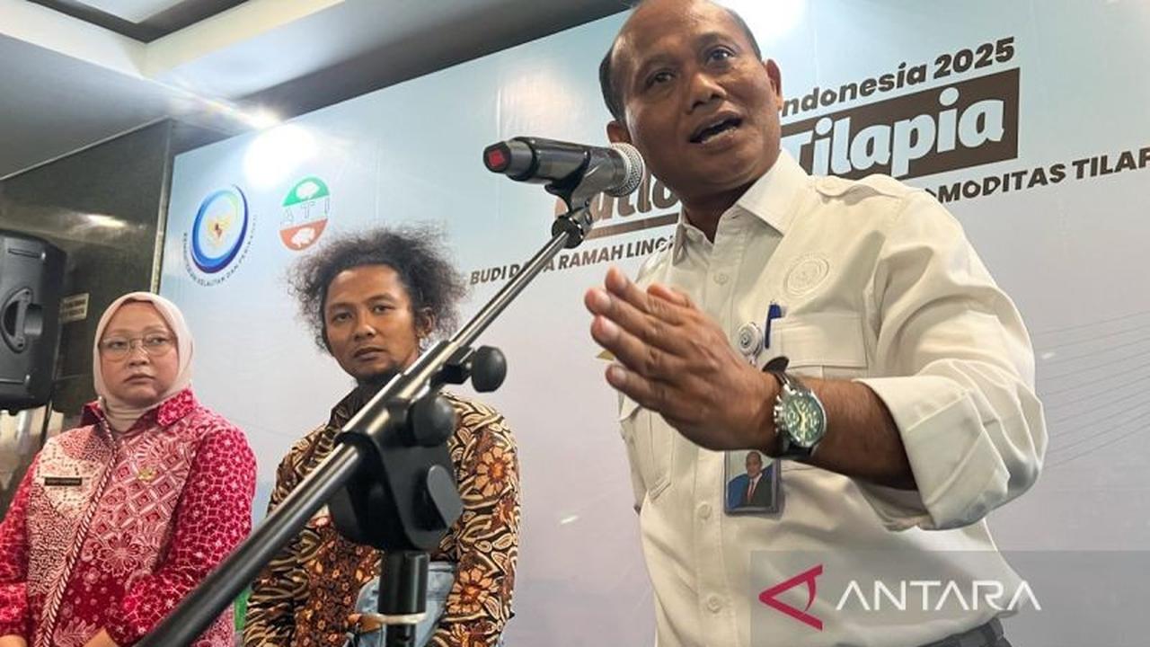 Fakta Unik: Tingkat Kelangsungan Hidup 70%, Budidaya Lobster Indonesia Kini Siap Saingi Vietnam