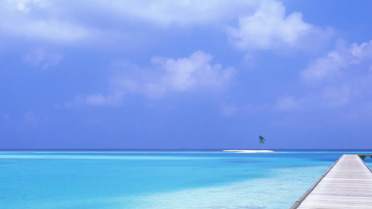 Biru, Warna Favorit Masyarakat Dunia