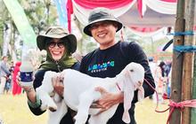 Susu Kambing Senduro Lumajang Raih Indikasi Geografis, Jadi Pengungkit Ekonomi Desa