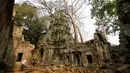 Wisatawan mengunjungi kompleks kuil Ta Prohm di provinsi Siem Reap, Kamboja. Kuil yang dibangun dalam gaya arsitektur Bayon pada sekitar akhir abad ke-12 ini masuk kedalam daftar situs Warisan Dunia UNESCO pada tahun 1992. (REUTERS/Samrang Pring)