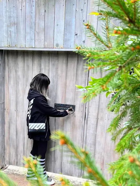 [Instagram/viavallen]