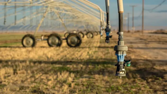 Pengertian Kelangkaan Sumber Daya Alam