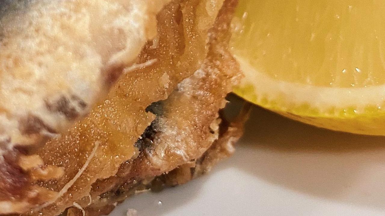 Sarden, terutama yang telah dikemas dalam bentuk kaleng, sering menjadi solusi santapan bagi orang yang tidak memiliki banyak waktu untuk memasak. Karena selain cara memasaknya yang cepat dan mudah, sarden juga memiliki rasa yang lezat dan cocok di lidah 