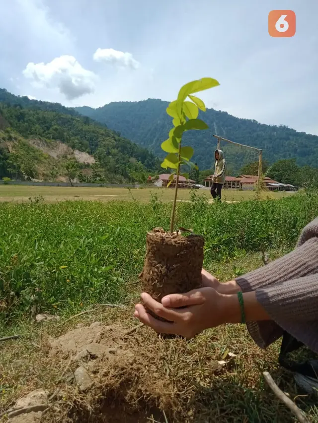 Penanaman pohon di Desa Pakuli Utara