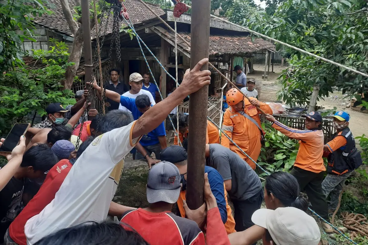 Sapi masuk Sumur