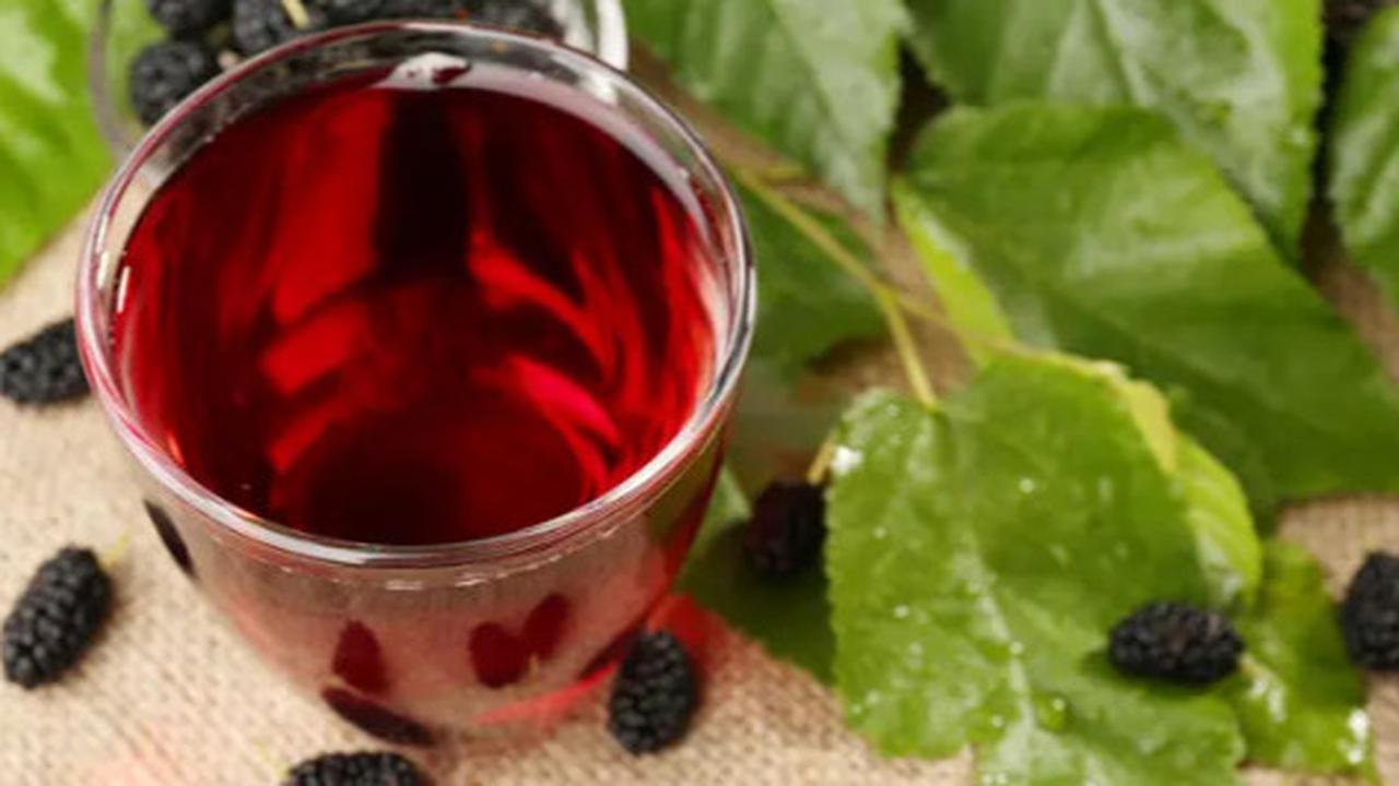 Teh Daun Murbei: Cara Membuat