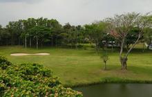 Sosok Suami Idaman Wanita, Pria ini Bangun Lapangan Golf Rp828 Miliar Demi Sang Istri Bisa Fokus