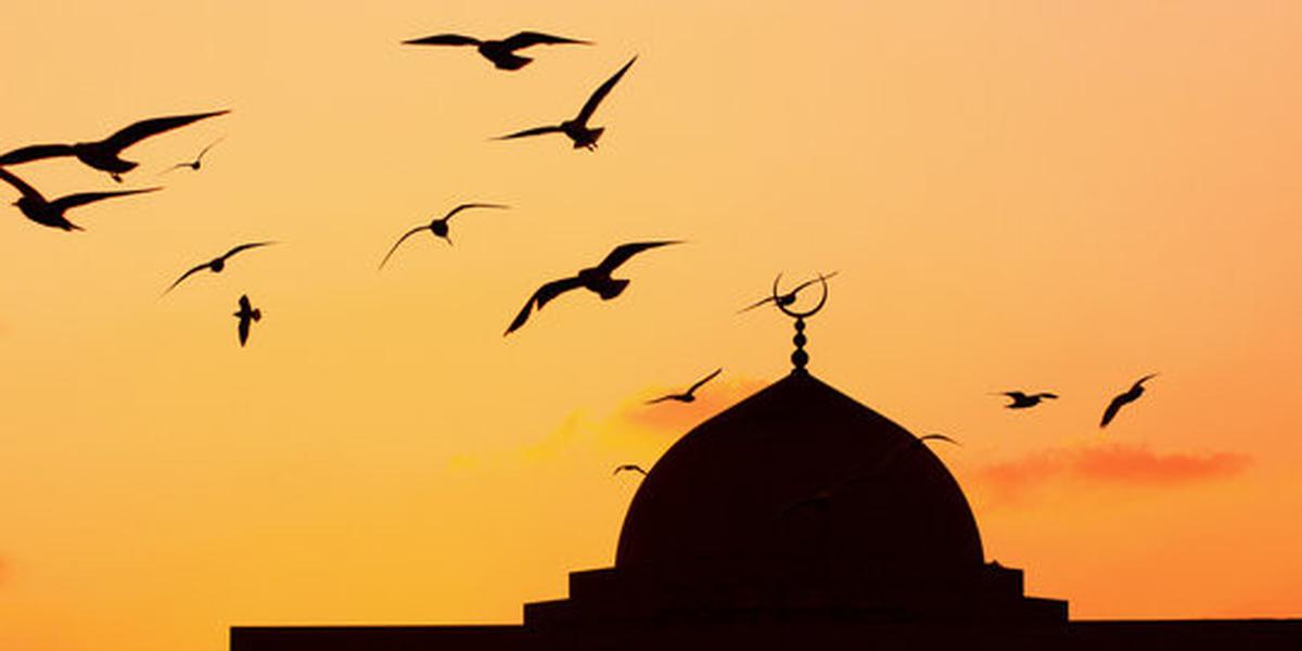 Tidak pernah salat di masjid