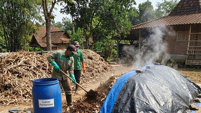 Cara Fermentasi Daun Bambu Kering agar Cepat Terurai, Bisa Dimanfaatkan untuk Kompos