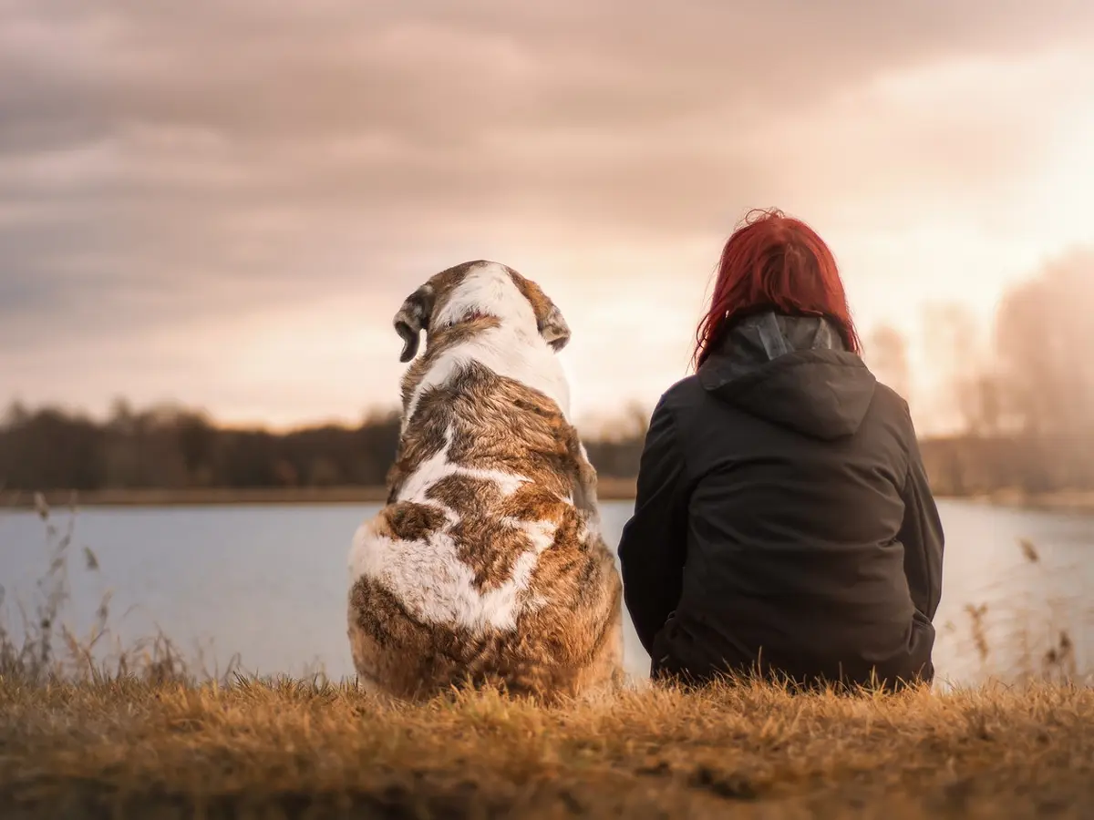Perempuan Nikahi Anjing Peliharaannya, Mengaku Lebih Bahagia daripada  Bersama Mantan Suami - Lifestyle Liputan6.com