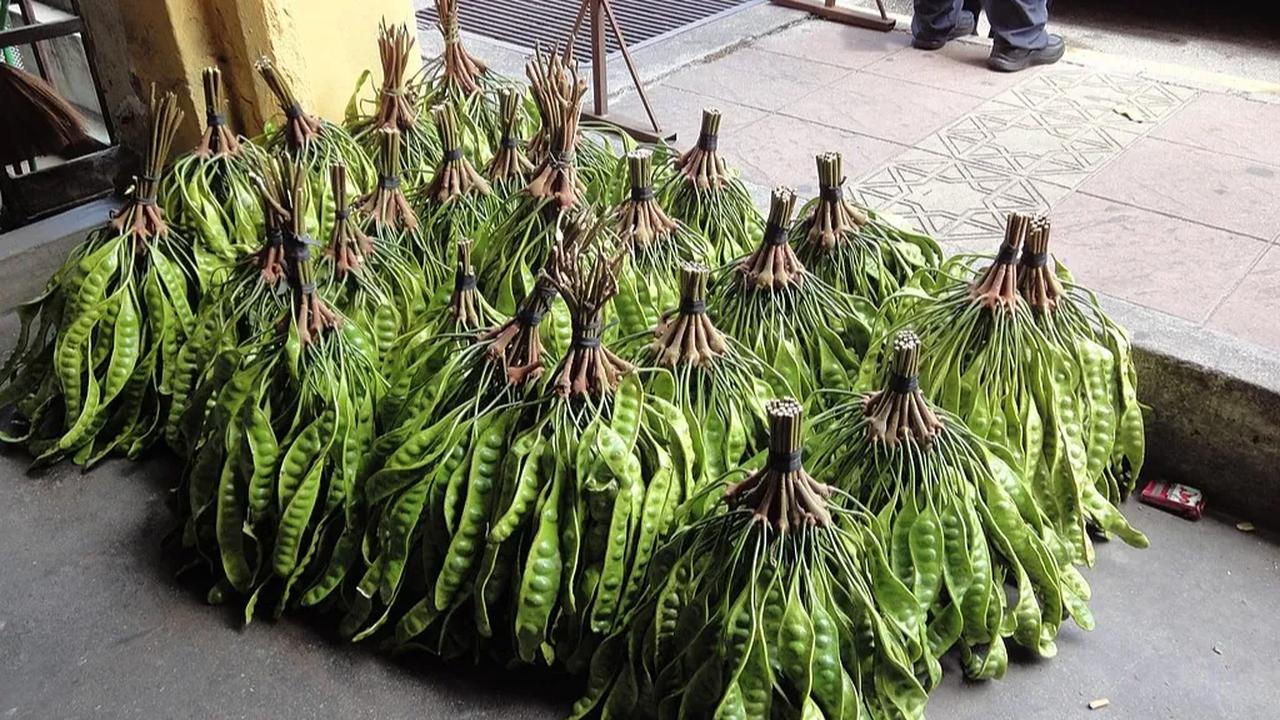 Mengatasi Kutil