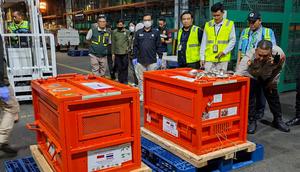 Kementerian Kehutanan memulangkan empat individu orangutan Sumatra dan Tapanuli, yang berhasil diselamatkan dari perdagangan ilegal di Thailand, dipulangkan ke Indonesia. (Liputan6.com/Pramita Tristiawati)