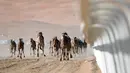 Sejumlah unta berlari kencang saat mengikuti lomba balap Liwa 2018 Moreeb Dune Festival di gurun Liwa, Abu Dhabi (26/12). Sebelumnya para joki tesebut adalah anak-anak dari Sudan atau Pakistan dan baru berusia 2-3 tahun. (AFP Photo/Karim Sahib)