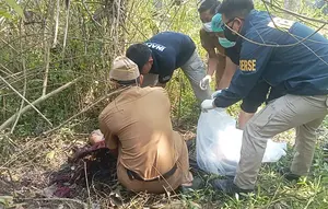 Misteri Kerangka Manusia di Kebun Jati Sukabumi Akhirnya Terungkap