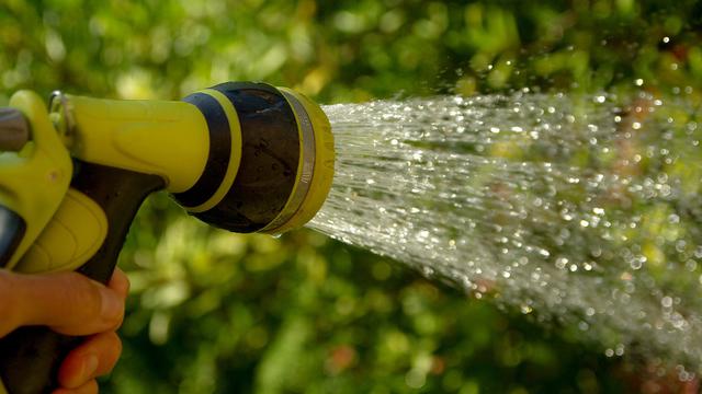 Ilustrasi cara mencangkok tanaman