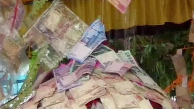 [VIDEO] Ada Pohon Dengan Uang Asli, Datang Aja Ke Sumatera Barat