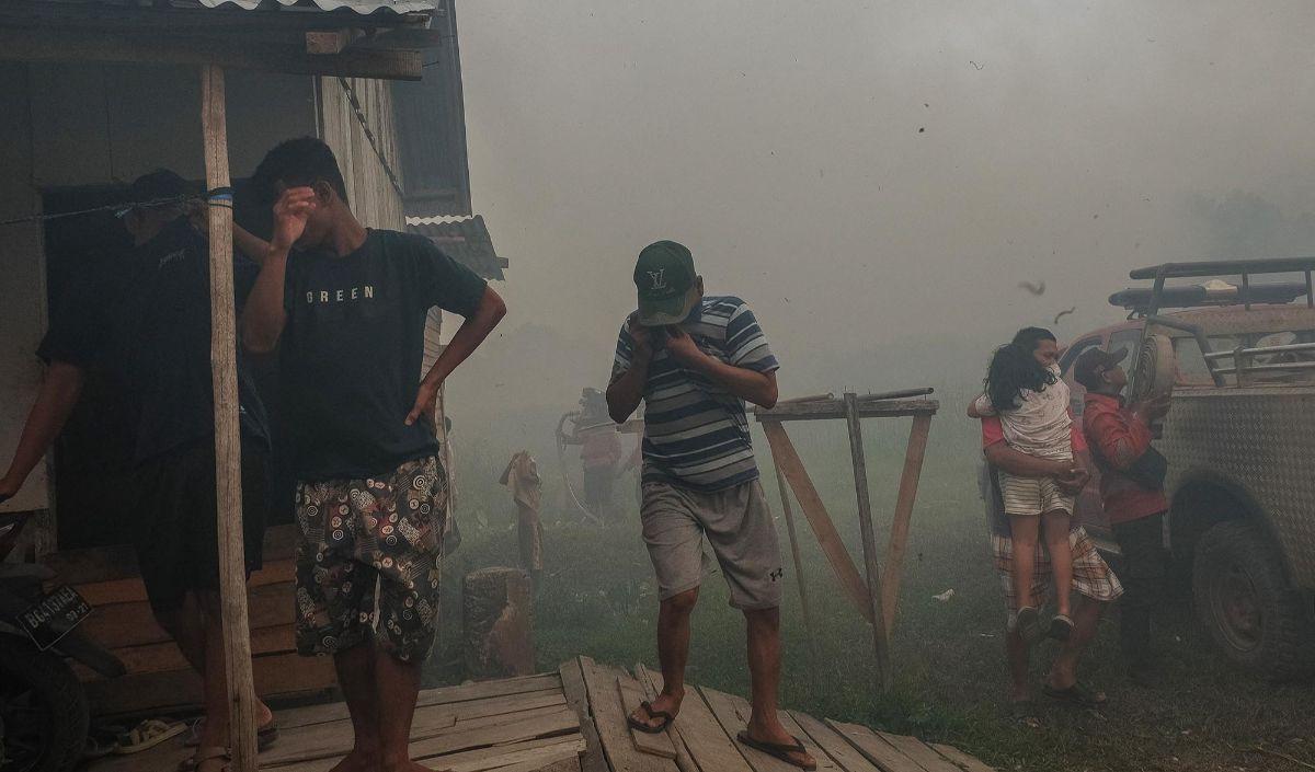 Keenam lokasi yang disegel itu sebagian besar berada di Kabupaten Ogan Komering Ilir (OKI).