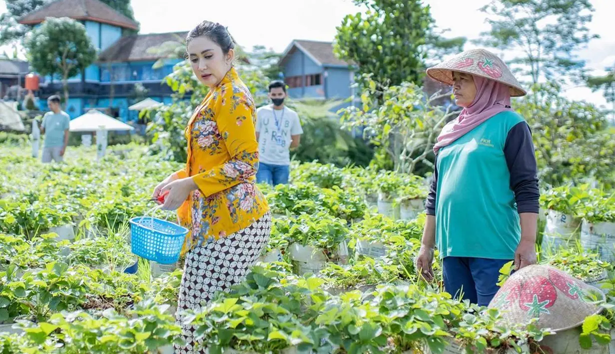 Meski sudah cukup jarang muncul di layar kaca, aktris kelahiran Magelang ini memiliki segudang kegiatan yang banyak ia bagikan dalam media sosial Instagramnya. Aktris yang beberapa tahun lalu bergabung dengan partai politik ini belakang tengah mengungungi berbagai tempat wisata yang ada di kota kelahirannya. (Liputan6.com/Instagram/nafaurbach)