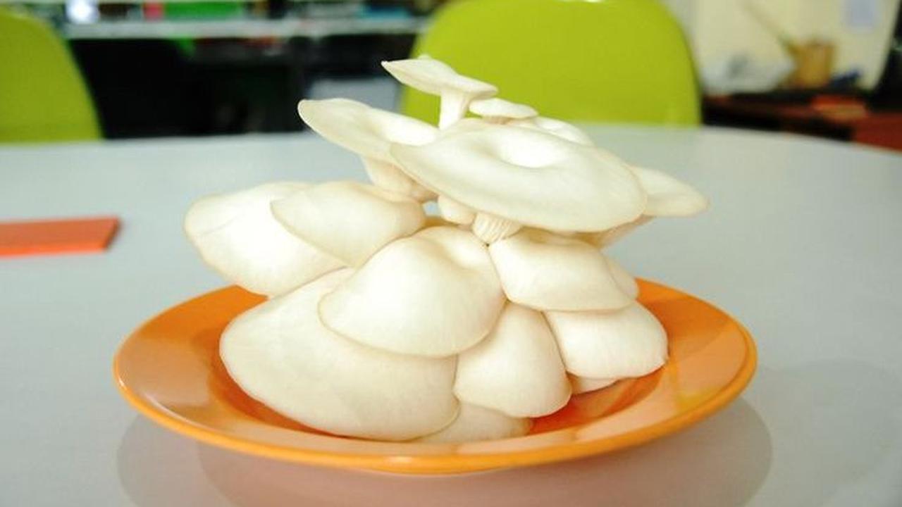 <b>1. Siapkan Jamur Tiram yang Akan Diolah</b>