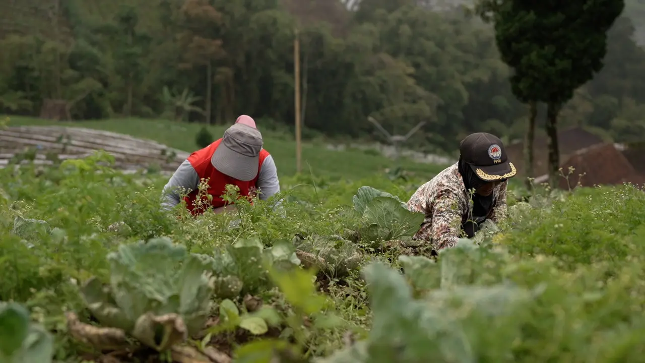 Petani Boyolali Untung Berkat MBG