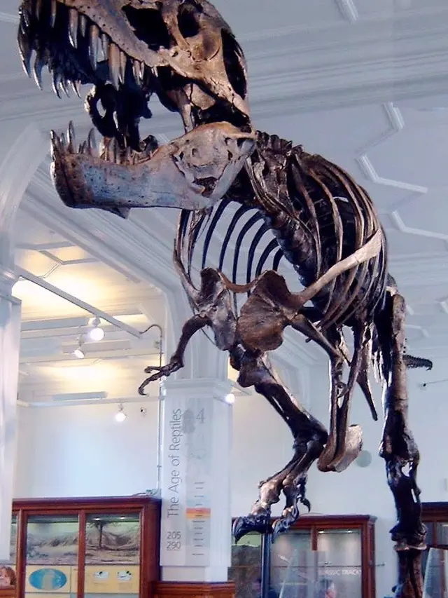 DInosaurus