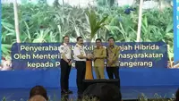 Hari Bakti Imigrasi ke-76, Kemenimipas Perluas Pengabdian Lewat Bakti Sosial dan Penanaman Kelapa
