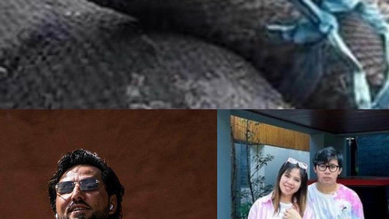 TOPIK POPULER: Heboh Ular Raksasa dan Pembuatan SIM